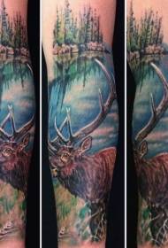 arm realistic natural color deer in the wild tattoo pattern