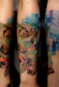 barvni slog ilustracije sova z vzorcem tatoo metuljev