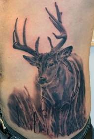 腹部野生鹿写实纹身图案