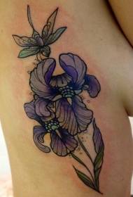 sườn sườn đẹp hoa mẫu đơn hoa iris