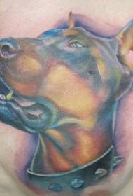 Patrón de tatuaxe de Doberman e colo colo do peito
