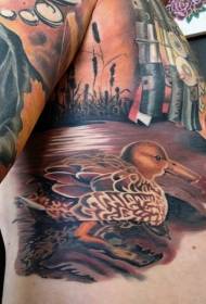 машка половината боја боја на патка шема на тетоважа