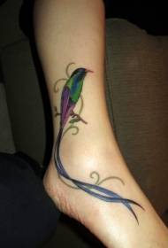 lány boka gyönyörű madár tetoválás minta