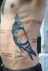 costole laterali da uomo con un commento sul modello del tatuaggio del piccione
