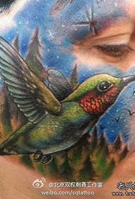 alternativní evropská a americká žena čelí kolibřík tetování vzor 111538 - alternativní tvář totem gecko tetování vzor