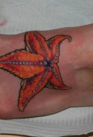 I-orange off-the-shape starfish tattoo pateni
