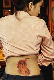 美女后腰部唯美好看的蛇纹身图案图片