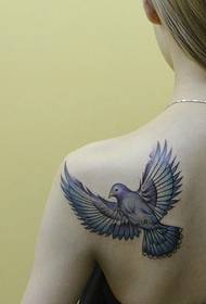 always pigeon tattoo picture falls on the shoulder of the girl上