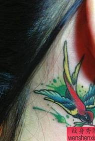 纹身秀图吧推荐一幅耳后彩色燕子纹身图案