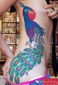 nabor stranskih pasov, polnih ženskih tatoo tetovaže telesa, delijo tetovaže