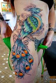 cintura lateral de beleza um padrão de tatuagem de pavão bonito sexy