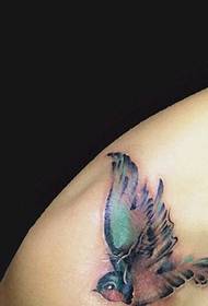 farebné vtáčie tetovanie na ramene
