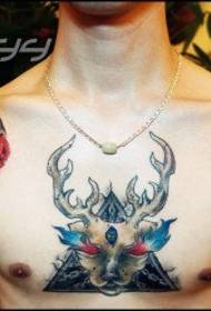 man's chest handsome skull and sheep head tattoo pattern