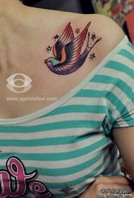 girl Color small swallow tattoo pattern on the shoulder