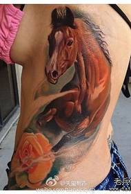 美女侧腰精美的欧美彩色马纹身图案