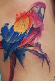 bočni struk papagaja prskanje tintni uzorak tetovaža
