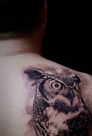 a owl tattoo pattern on the back of the man