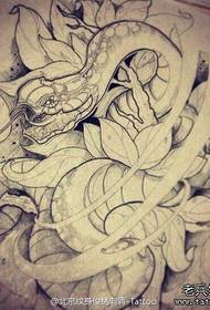tattoo figure recommended a peony snake line Manuscript tattoo work