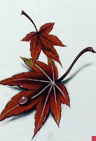 a maple leaf tattoo manuscript pattern