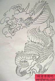 Shawl Dragon Manuscrit 21