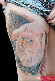 skupina tetování koček