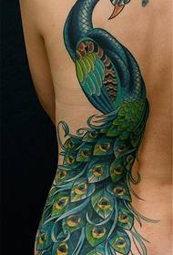la figura del tatuaje recomendó un conjunto de trabajos de tatuaje de pavo real