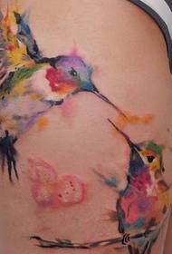 daugybė merginų mėgstamo kolibrio tatuiruotės modelio