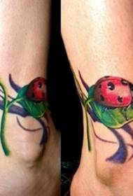 Girls like this fresh and lovely little ladybug tattoo pattern