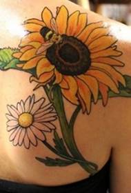 Color Plant Pigment Tattoo المرأة مثل مجموعة من تصاميم الوشم الأزهار الجميلة