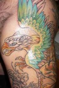 Motif de tatouage de la personnalité du greyphon ailé coloré de bras