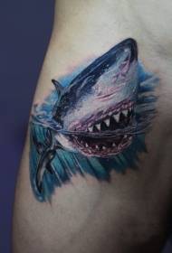 Arm personality shark painted tattoo pattern