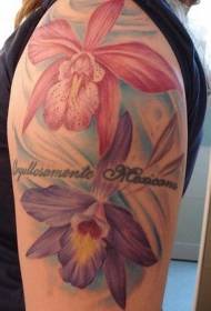 Модел на татуировка с големи цветни орхидеи и букви