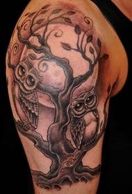 An owl and twig tattoo on the arm