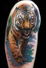 Handsome downhill tiger tattoo