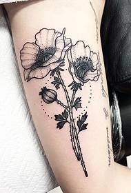 Big arm small fresh poppy Europe and America tattoo tattoo pattern