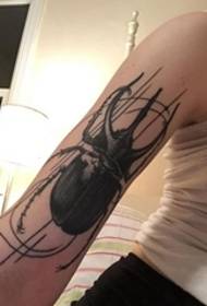 Skaists melnā stila vaboles raksta tetovējums uz rokas lielās rokas