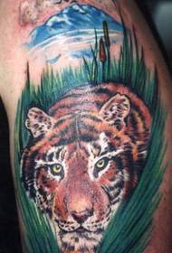 Arm color tiger tattoo pattern