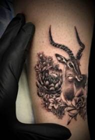 Arm tattoo black and white gray style prick tattoo plant tattoo material flower tattoo animal tattoo picture