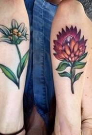 Braços em tatuagens de flores coloridas flores de longan e fotos de tatuagem de planta de edelvais