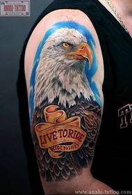 Handsome eagle tattoo for men's tattoo
