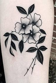 Mali krak cvijeta mali svježi uzorak tetovaža tetovaža uzorak tetovaža