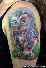 Tattoo owl зебо дар бозуи