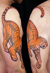 Male right arm color tattoo tiger small animal tattoo pattern
