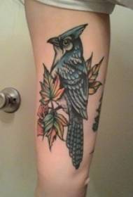 Arm je tehnika slikanja tetovaža biljka materijal za tetoviranje lišće tetovaža ptica tetovaža slika životinja tetovaža