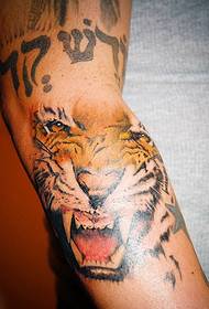 Arm color tiger tattoo picture