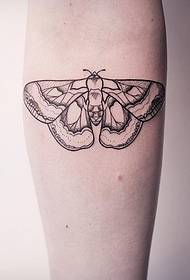 Small arm small fresh moth line prick tattoo pattern