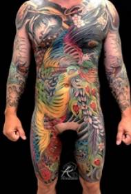 Tattoo full body figure male full body colored figure and peacock tattoo picture