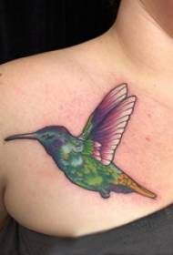 I-tattoo inyoni yesitshudeni sesilisa esinombala we-bird bird tattoo