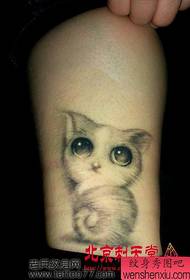 Tifi Modèl Tattoo - Modèl cute ak chik Tattoo Cat