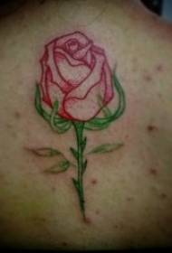 Patró de tatuatge de rosa patró de roses de plantes a diverses parts del cos de la noia